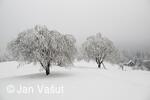 Foto Jan Vašut