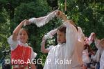 Mezinárodní dětský folklorní festival Štěpy
