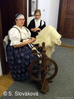 * Z DĚNÍ VE MĚSTĚ