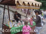 Medobraní s dětským dnem u Perníkové chaloupky 2011