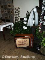 * Z DĚNÍ VE MĚSTĚ