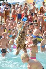 * Z DĚNÍ VE MĚSTĚ